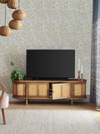 Sora TV UNit
